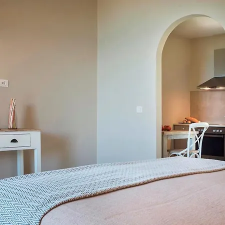 公寓式酒店 Beachfront Suites Lourdas 劳德哈塔
